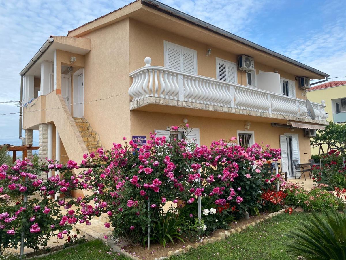 Apartments Lolo Privlaka  Extérieur photo